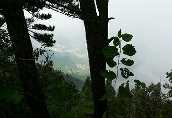 湖北三角山旅游度假区第 38 张图片