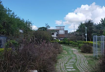 莲花山公园第 44 张图片