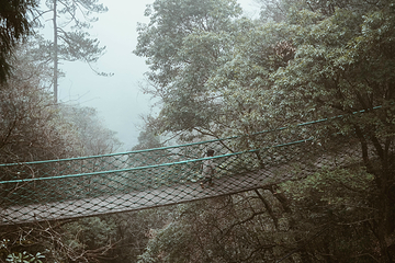 百山祖景区第 20 张图片