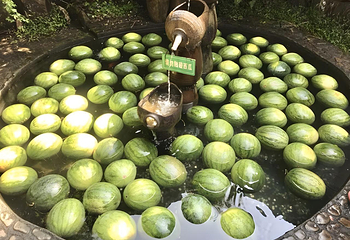 大奇山国家森林公园第 3 张图片