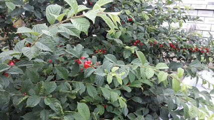 宝林楼风景旅游区第 6 张图片