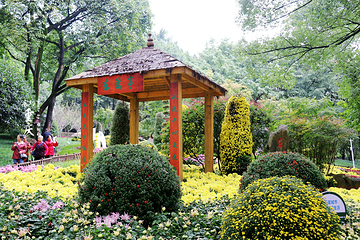 鹅岭公园第 178 张图片