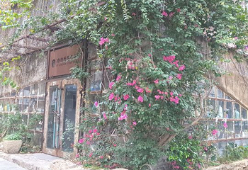 大芬油画村第 34 张图片