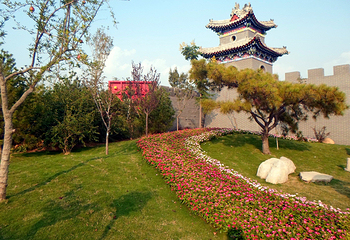 青岛世界园艺博览园第 56 张图片