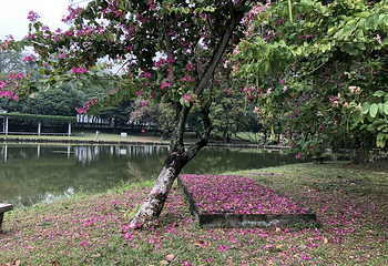 汕头大学(桑浦山校区)第 20 张图片
