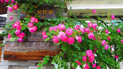 金山嘴渔村第 35 张图片
