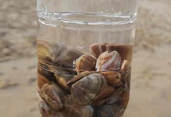 巽寮湾帆船出海第 17 张图片