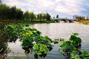 西安浐灞国家湿地公园第 85 张图片