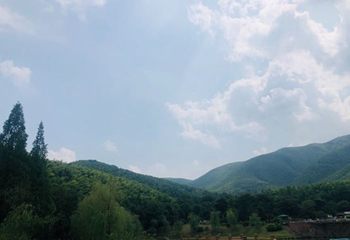宜兴竹海风景区第 54 张图片