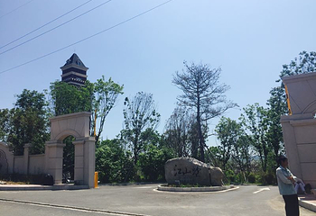 光东村第 18 张图片