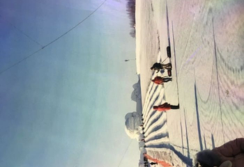 太阳岛雪博会第 137 张图片