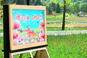 秦岭国家植物园第 24 张图片