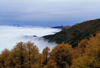太白山国家森林公园第 65 张图片