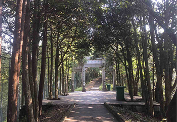 青龙湾生态旅游区第 24 张图片