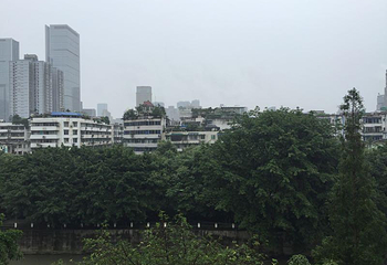 郑东新区湿地公园第 6 张图片