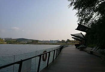 青岛世界园艺博览园第 61 张图片