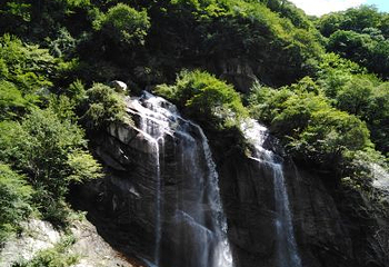 红河谷森林公园第 33 张图片