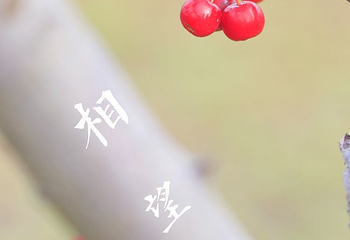 汉花缘景区第 3 张图片