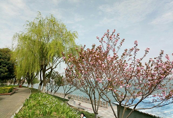 柳叶湖旅游度假区第 44 张图片
