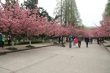 中国科学技术大学第 20 张图片