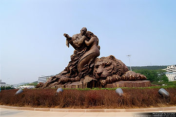 老虎滩海洋公园第 39 张图片
