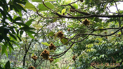 清远笔架山漂流第 56 张图片