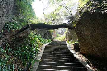 窦圌山景区第 118 张图片