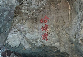 小五台山自然博物馆第 10 张图片