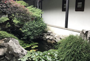 曾园赵园第 40 张图片