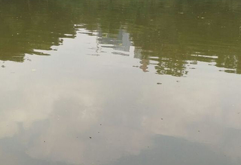 麓湖第 21 张图片