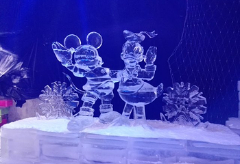 自贡·哈尔滨冰雪嘉年华第 19 张图片