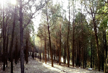 梁山水浒酒文化体验馆第 22 张图片