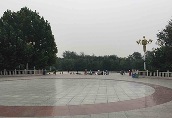 西沽公园第 17 张图片