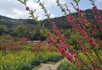 石门国家森林公园第 55 张图片