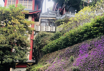 鸿山公园第 11 张图片