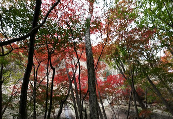 天罡山第 11 张图片