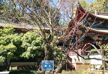 曹溪寺第 7 张图片