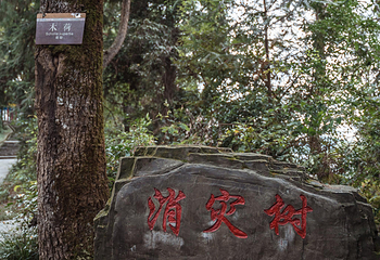 岜沙苗寨第 43 张图片