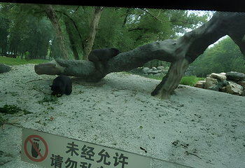 北京动物园第 126 张图片