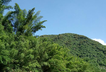 龙鲸河漂流第 28 张图片