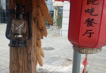 棣花古镇第 14 张图片