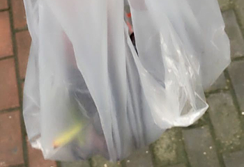 藏龙百瀑漂流第 59 张图片