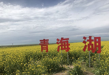 金沙湾生态旅游区第 27 张图片