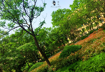 青岛大学(浮山校区)第 11 张图片