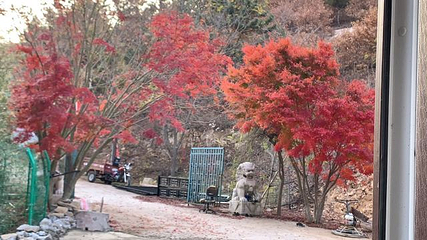 泉山云顶风景区第 94 张图片