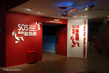 上海海洋水族馆第 6 张图片
