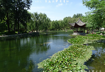 陶然亭公园第 54 张图片