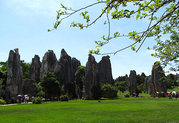 石林风景区第 323 张图片