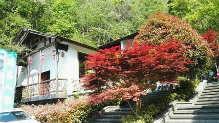 三爪仑观音岩第 16 张图片