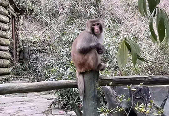 南岩宫第 17 张图片